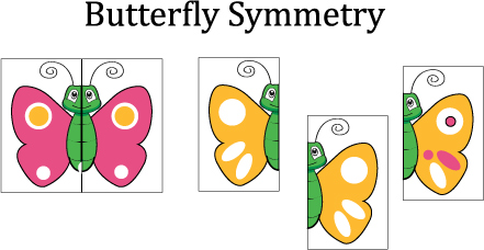 preschool butterfly visual discrimination and matching game