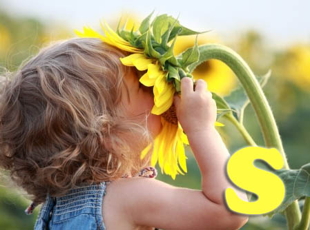 s for sun and sunflower letters of the alphabet preschool activities