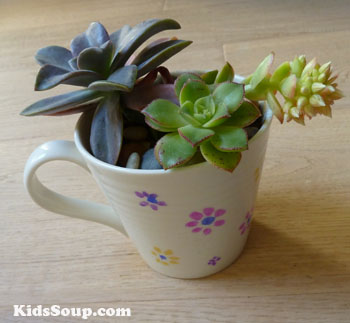 Mother's day tea cup with succulents gift idea and preschool craft