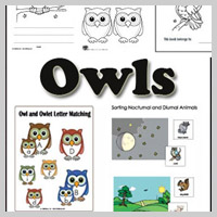 Preschool, Kindergarten Owls and Nocturnal Animals Activities