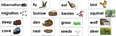 Animals in Winter word wall cards and activities for kindergarten