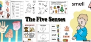 Five Senses activities, crafts, lessons for preschool and kindergarten