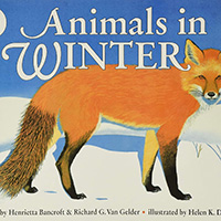 Animals in Winter book