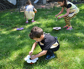 Preschool Lesson Plan: Collect Nectar Like a Real Bee!
