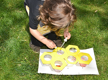 Preschool Lesson Plan: Collect Nectar Like a Real Bee!