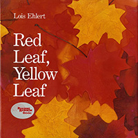 Fall, Autumn, and Leaves picture books for preschool and children