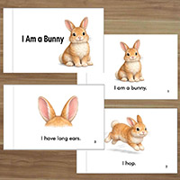 I'm a Bunny Emergent Reader