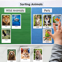 Preschool Science Activity: Wild Animals or Pets