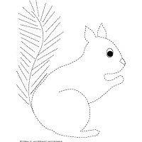Squirrel tracing preschool activity and printable