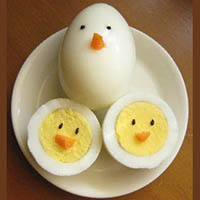 Chicks Egg Snack Preschool and Kindergarten
