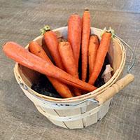 Little Bunny Count With Me - preschool counting activity