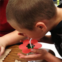 Collecting Nectar - Sense of Taste and Pollination activity
