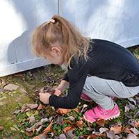 Squirrels Hidden Treasures outdoor preschool activity
