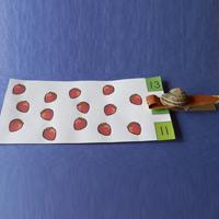 Snail Counting Cards 10-20 preschool
