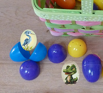 What animals hatch from eggs? Science preschool activity 