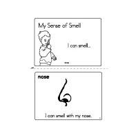 my five senses preschool activities lessons and printables kidssoup