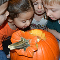 Sensory Pumpkin Exploration preschool activity
