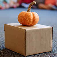 Spatial Awareness a Pumpkin preschool activities
