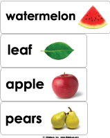 The Hungry Caterpillar Word Wall printables for preschool and kindergarten