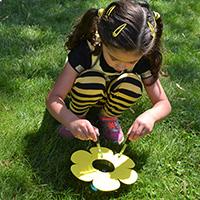Preschool Lesson Plan: Collect Nectar Like a Real Bee! Preschool Lesson Plan: Collect Nectar Like a Real Bee!