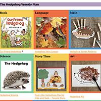 Hedgehog preschool plan 