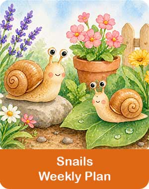 Snails weekly plan