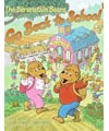 Berenstein's go back to school book