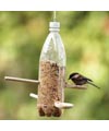 bottle bird feeder