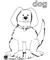 dog coloring page