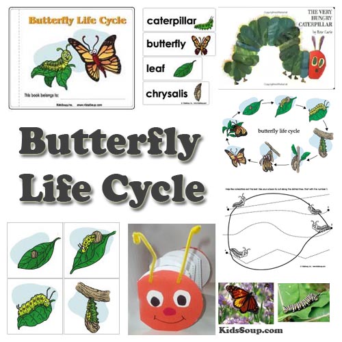 preschool butterfly and caterpillar life cycle activities, crafts, and science lesson plan