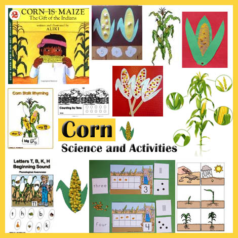 Preschool and kindergarten corn activities and crafts
