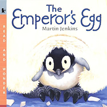 Emperor's Egg - Penguin Picture book for children