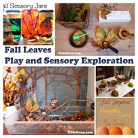 Preschool  Kindergarten Fall and Leaves Sensory Play