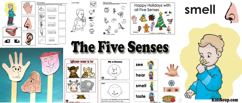 Preschool and kindergarten Five Senses activities and crafts