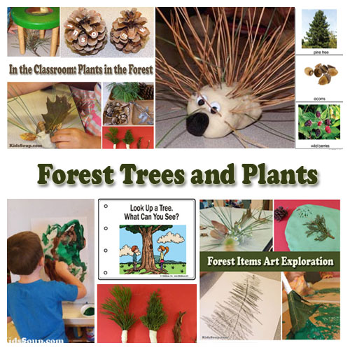 Forest Trees and Plants preschool activities, lessons, and crafts