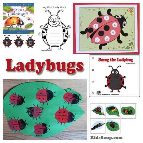 Preschool ladybugs science lesson, activities, crafts and games