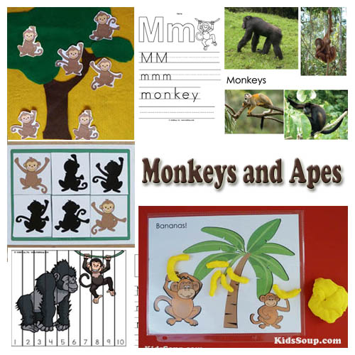 Preschool monkeys activities and crafts