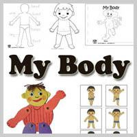 Preschool Kindergarten My Body Activities and Lessons