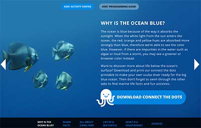 Ocean and ocean animals kids activities and science