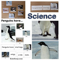 Preschool and kindergarten Penguin Science Lesson 