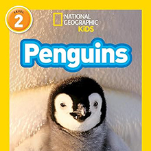 Penguins! - Penguin Nature book for children