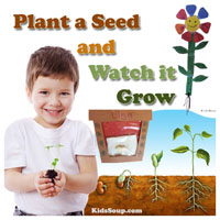 Preschool Kindergarten Plant a Seed Theme