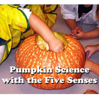 Preschool Kindergarten Pumpkin Science Lesson and Activity