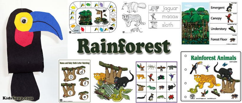 Rainforest Animals for Children – Jungle Animal Sounds and Rainforest  Wildlife 