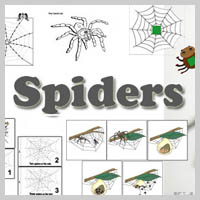 Preschool Kindergarten Spiders Activities and Crafts