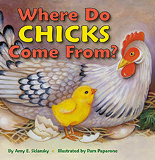 Where do Chicks Come From? - Chicken and Eggs Picture book for children
