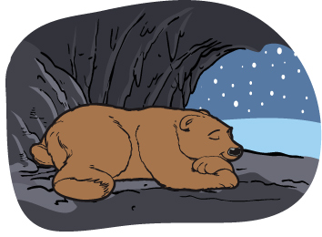 Image result for bear cave winter clip art