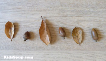 Acorns and fall items pattern activity