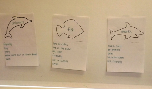 Ocean Animals 4 Ways: Science, Language, Math, and Art for Preschool