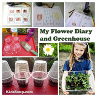 Preschool Kindergarten Flowers Science Activity